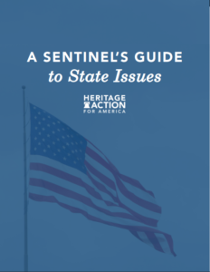 A Sentinels Guide to State Issues